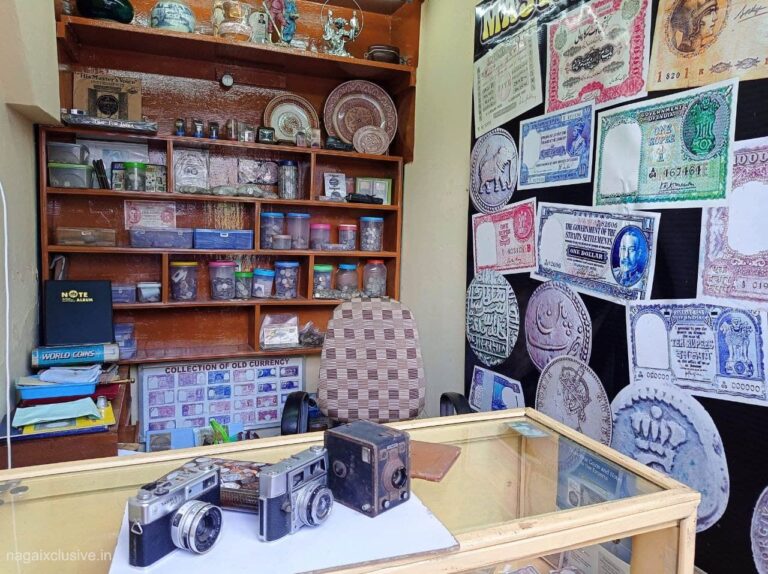 Master Collection Nagore Nagai Exclusive 2 768x574