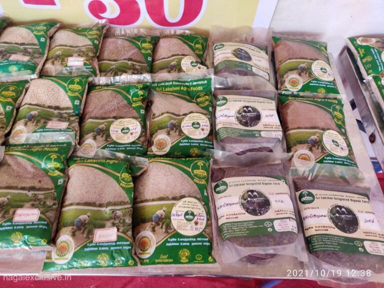 Sri Lakshmi Agro foods Nagapattinam Nagai Exclusive 4 768x576