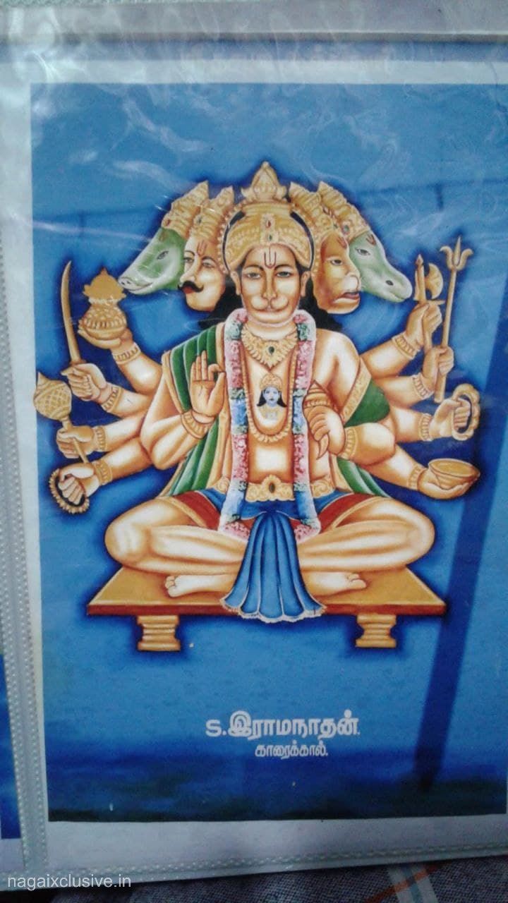 kalai Arts Nagapattinam Nagai EXclusive 17