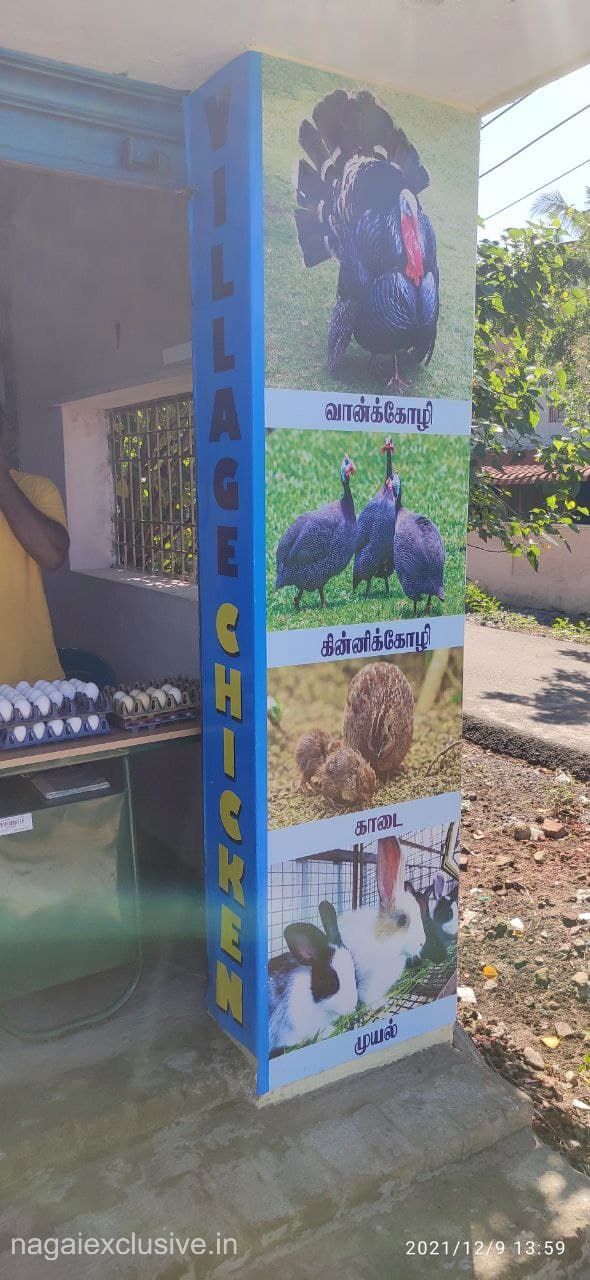 village chicken nagapattinam nagaiexclusive 1