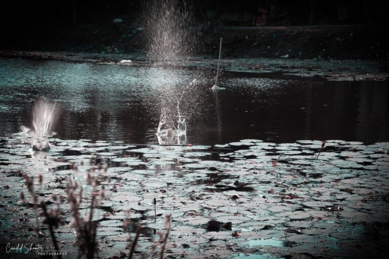 ThirdEye Photography 1 768x512