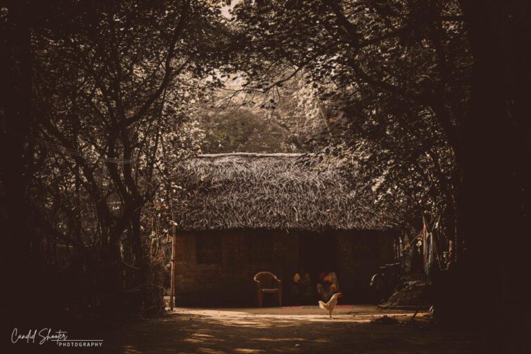 ThirdEye Photography 13 768x512