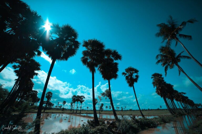 ThirdEye Photography 9 768x512